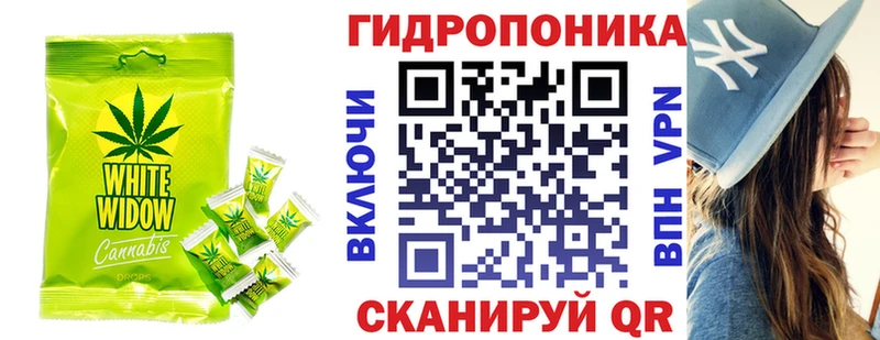 darknet телеграм Ленинск-Кузнецкий Печенье с ТГК марихуана