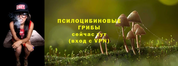 прущие крисы Балабаново