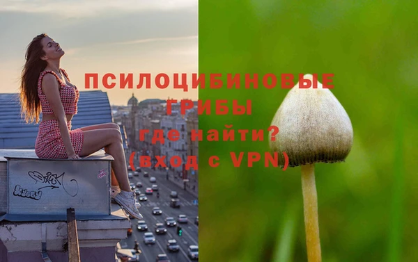 тгк Балахна
