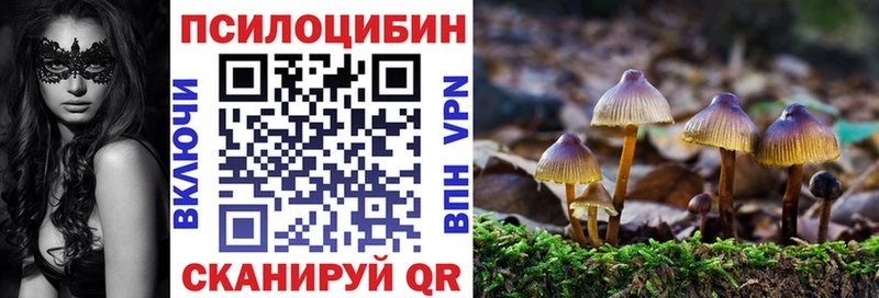 блэк спрут ТОР  наркотики  Ленинск-Кузнецкий  Галлюциногенные грибы мицелий 